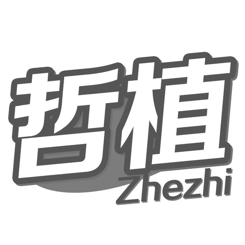 哲植Zhezhi