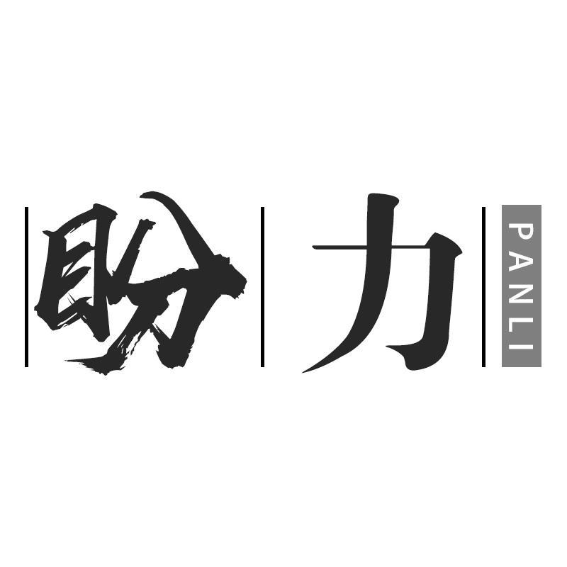 盼力PANLI