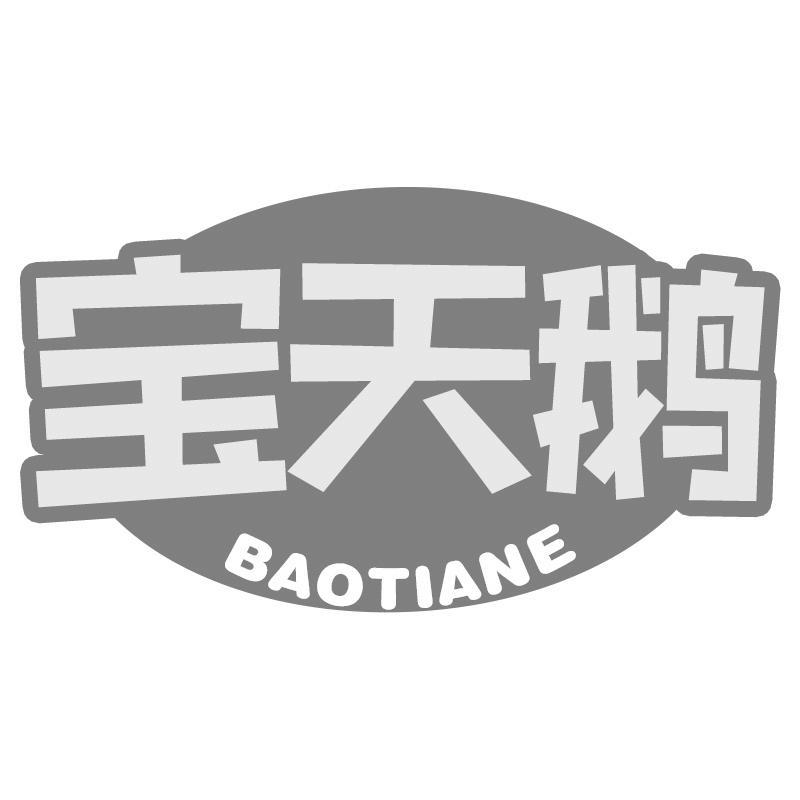 宝天鹅BAOTIANE