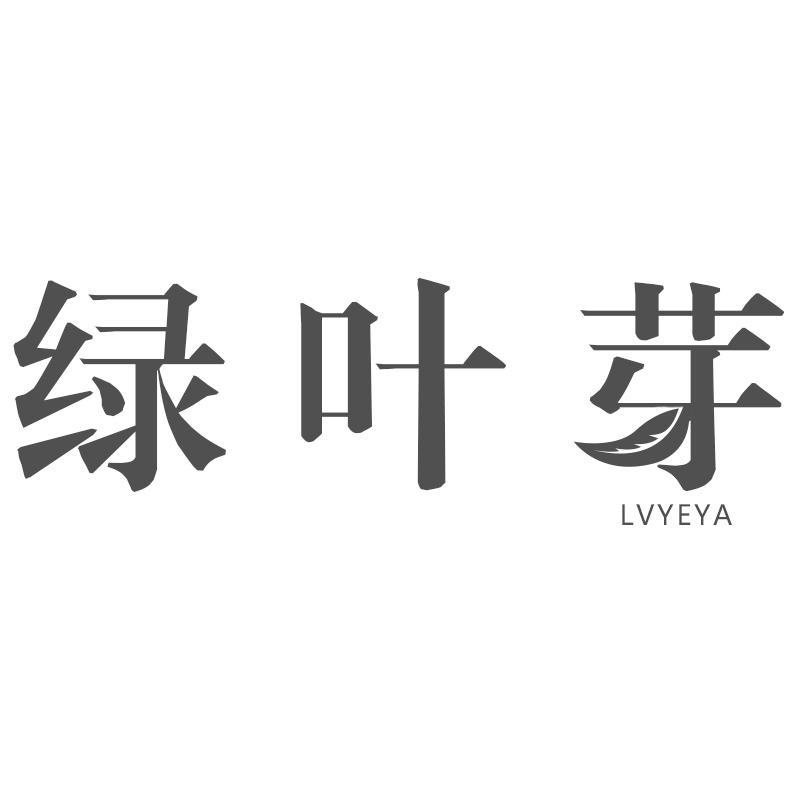 绿叶芽LVYEYA