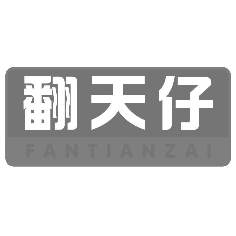 翻天仔FANTIANZAI