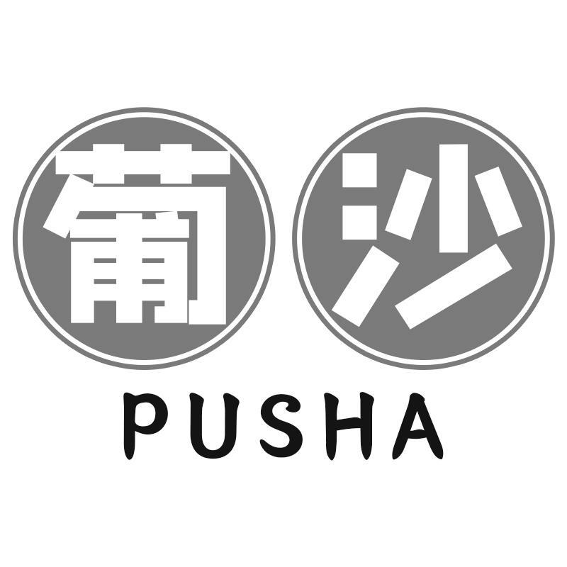 葡沙PUSHA