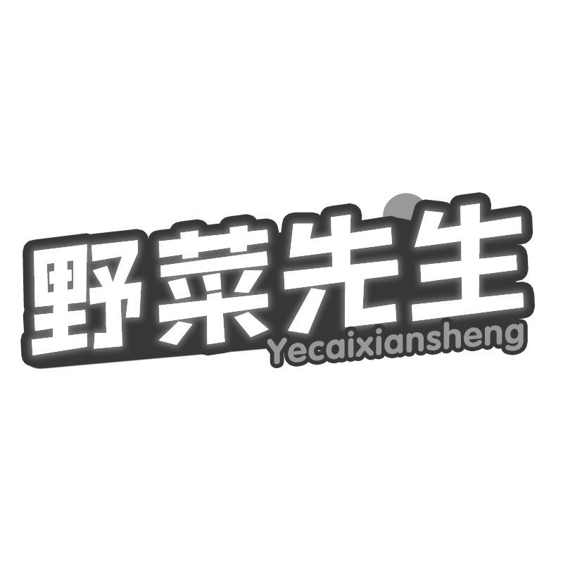 野菜先生Yecaixiansheng