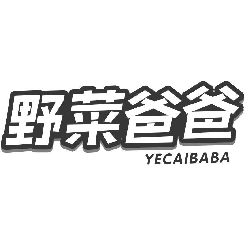 野菜爸爸YECAIBABA