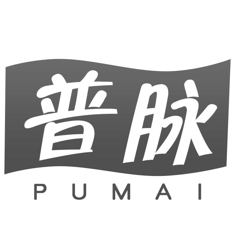 普脉PUMAI