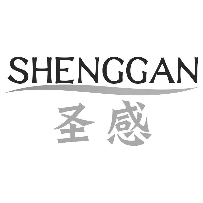圣感SHENGGAN