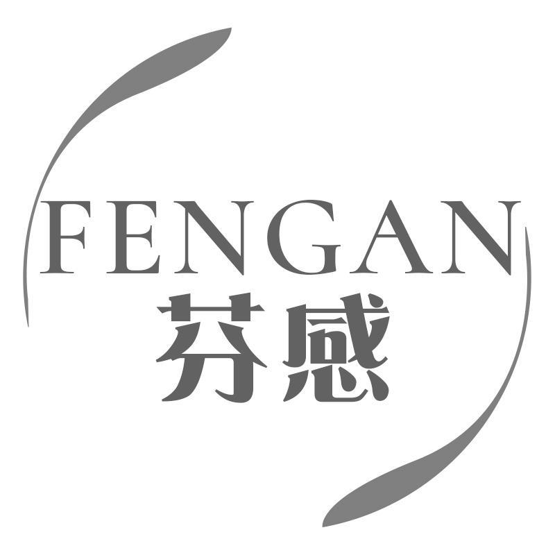 芬感FENGAN