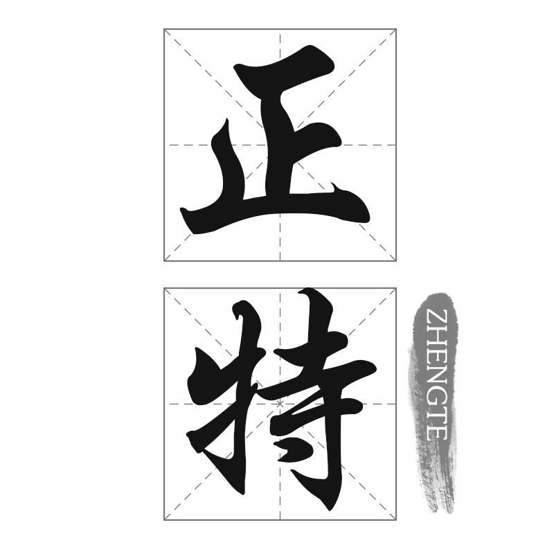 正特ZHENGTE