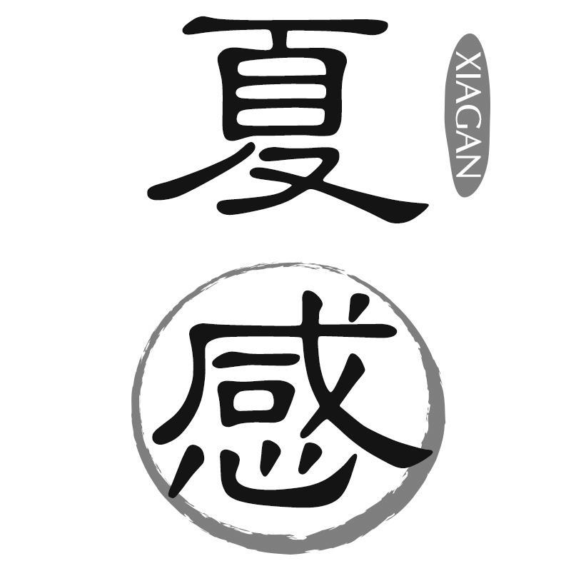 夏感XIAGAN