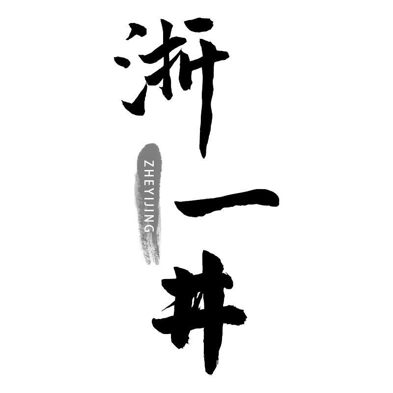 浙一井ZHEYIJING