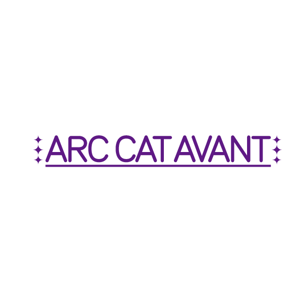 ARC CAT AVANT