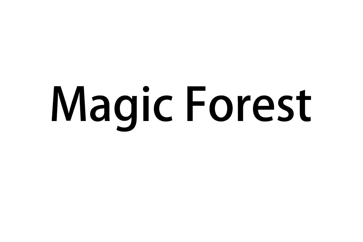 Magic Forest