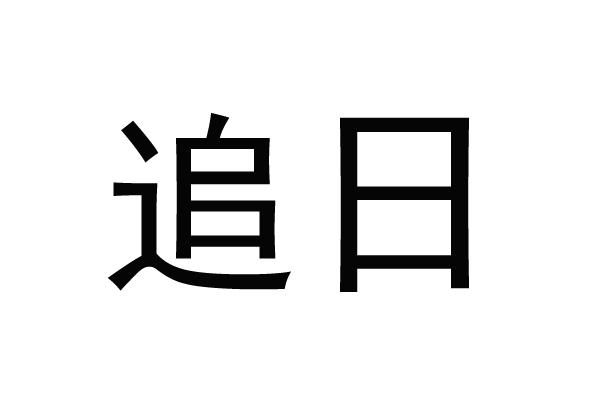 追日