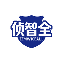 侦智全ZEMWISEALL