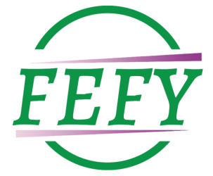 FEFY