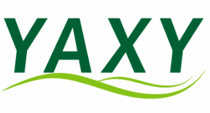 YAXY