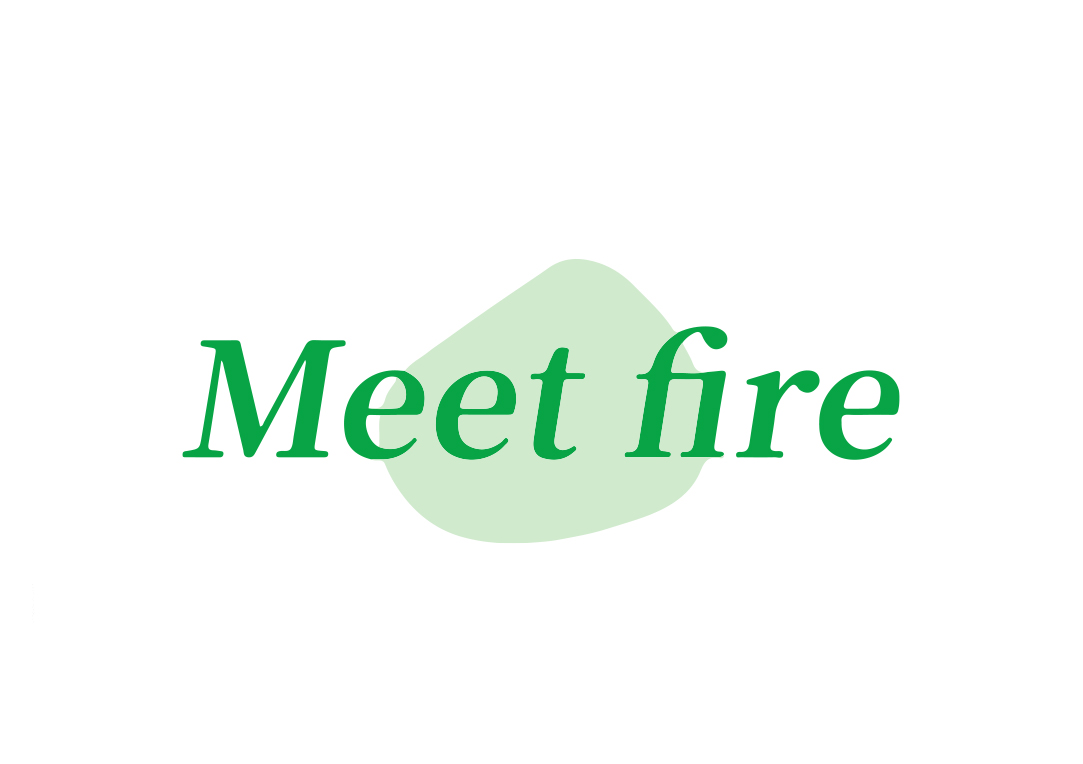 MEET FIRE