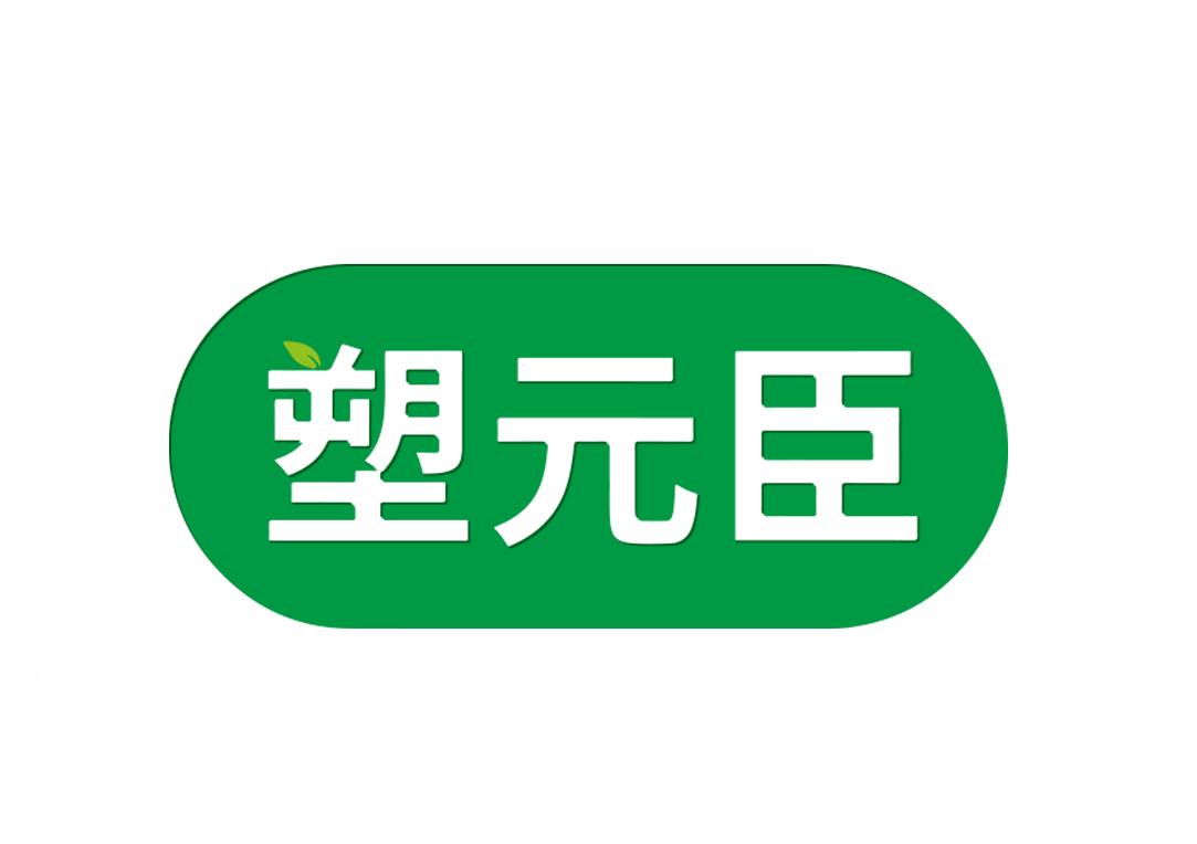 塑元臣