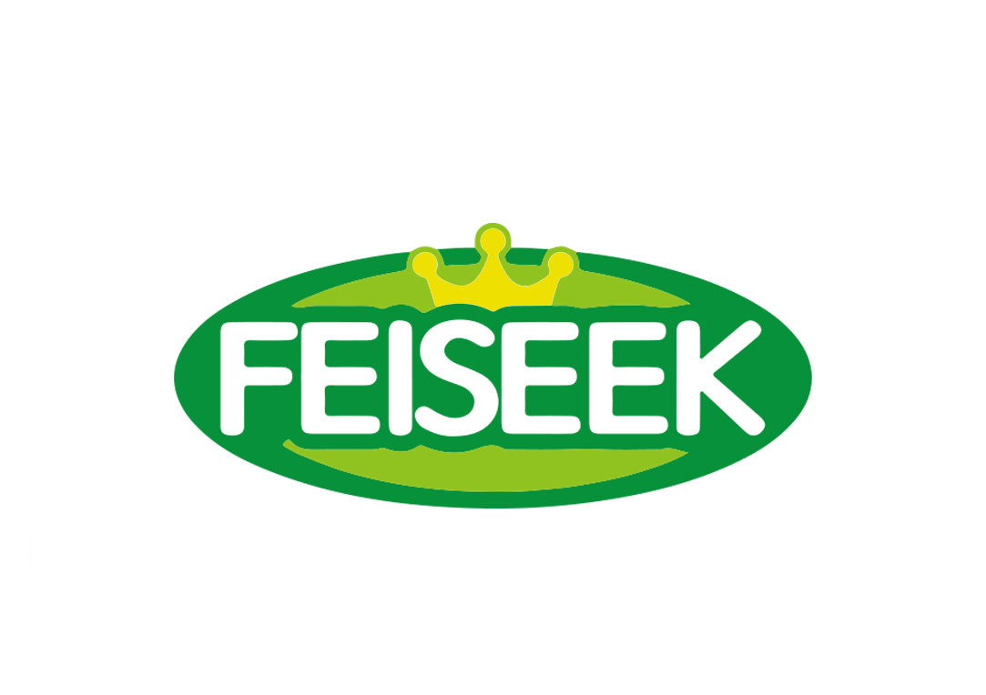 FEISEEK