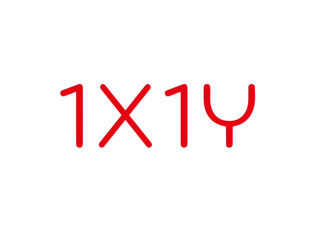 1X1Y