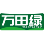 万田绿