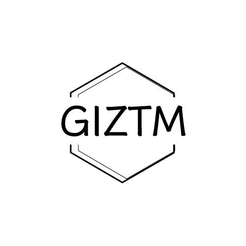 GIZTM