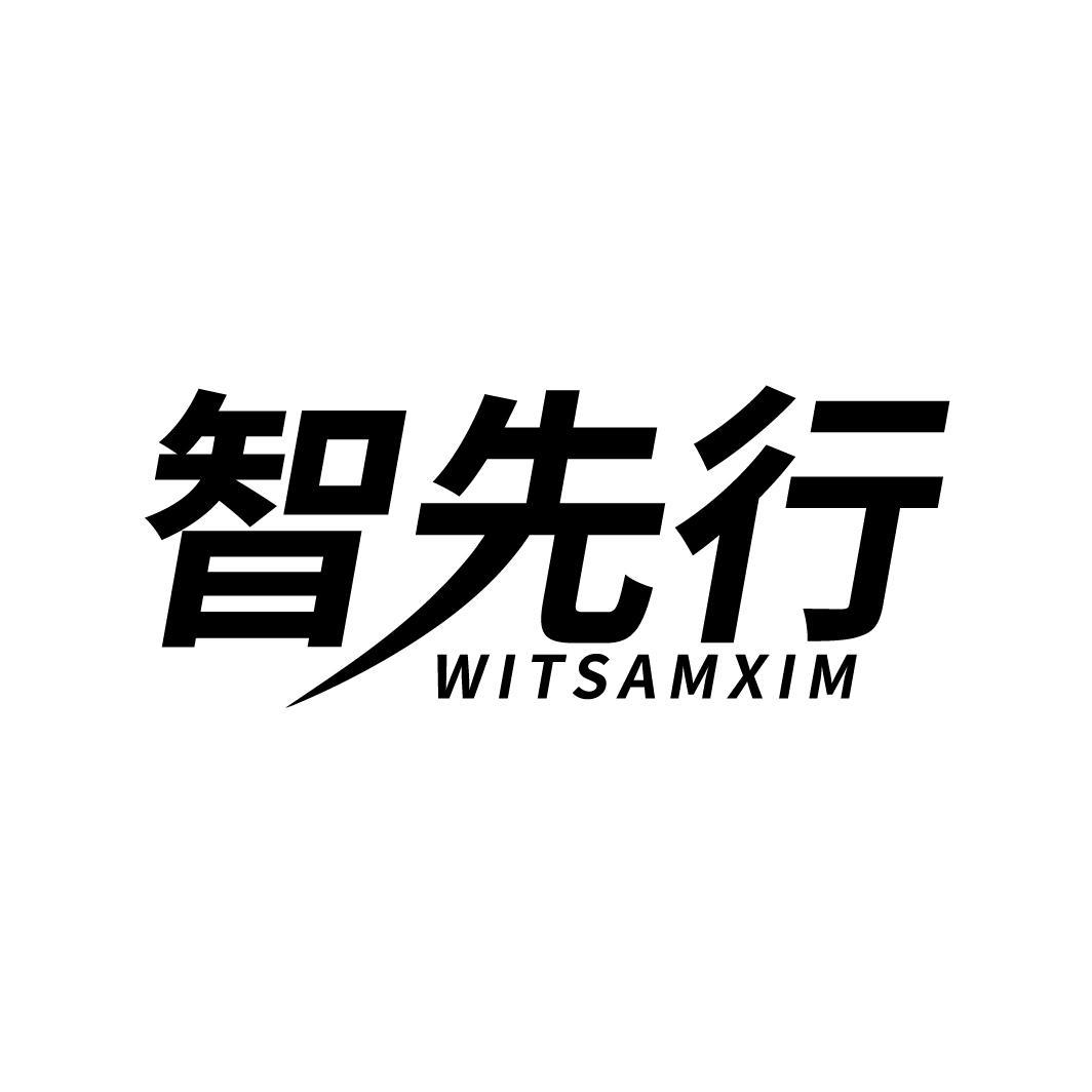 智先行 WITSAMXIM