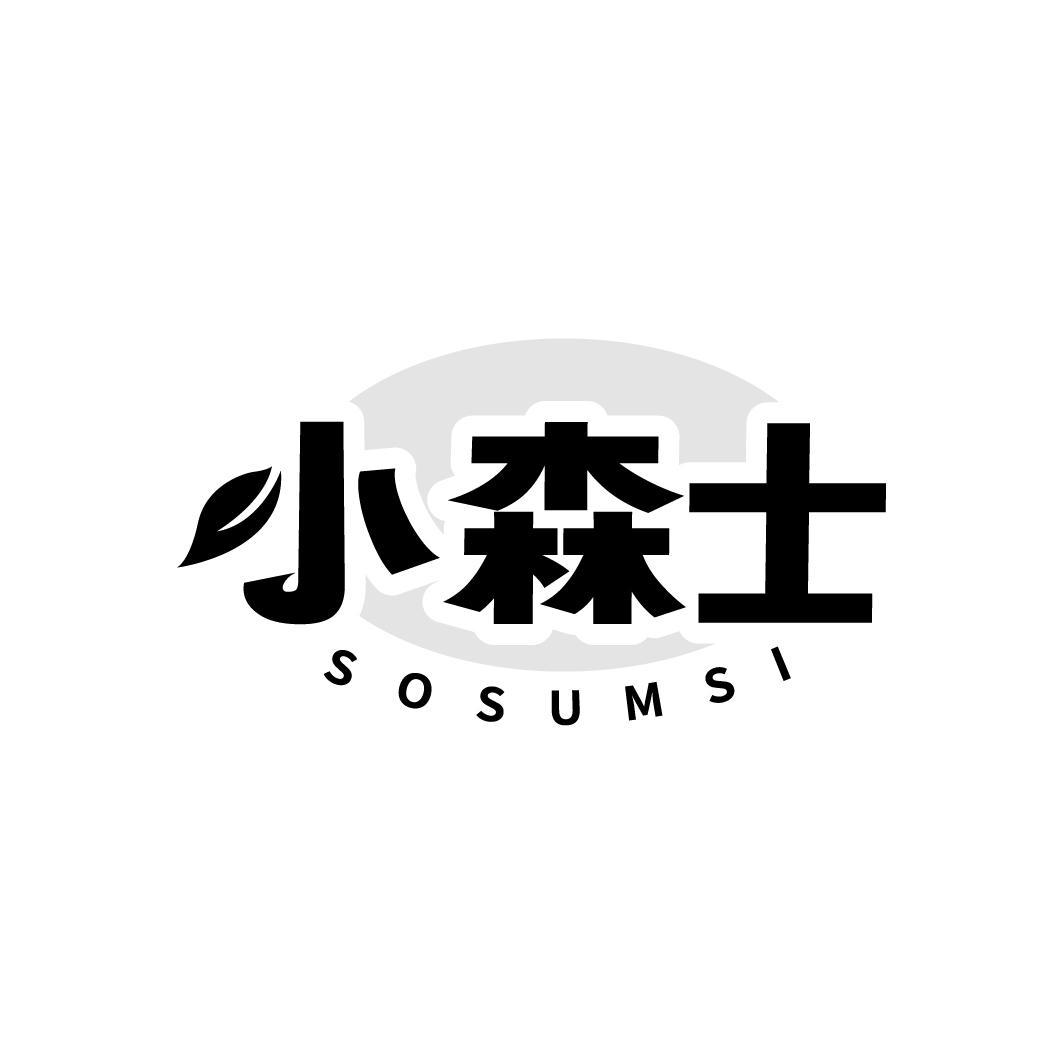 小森士 SOSUMSI