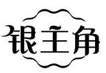 银主角