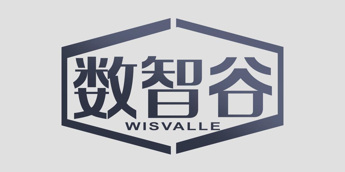 数智谷  WISVALLE