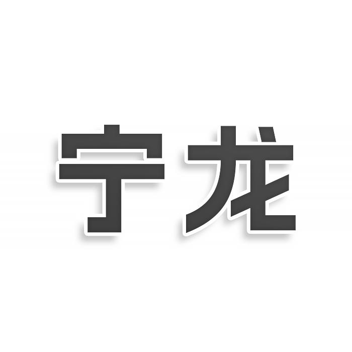 宁龙