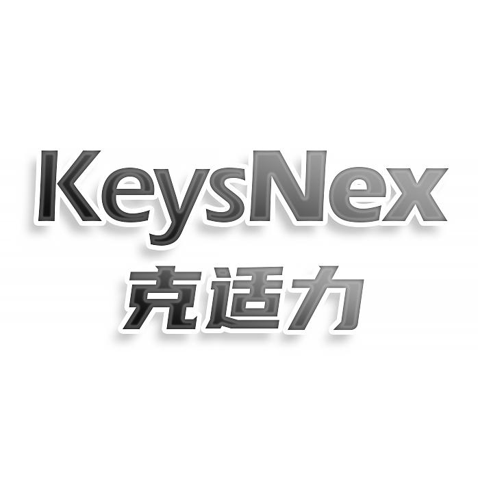 KeysNex 克适力