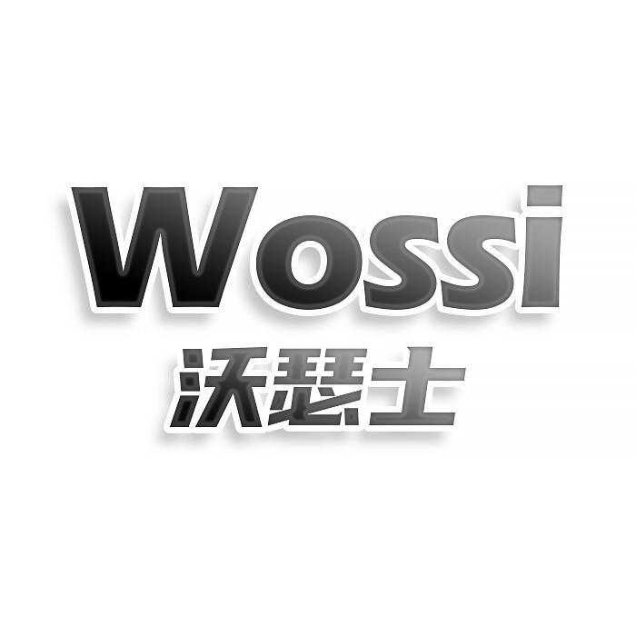 Wossi沃瑟士