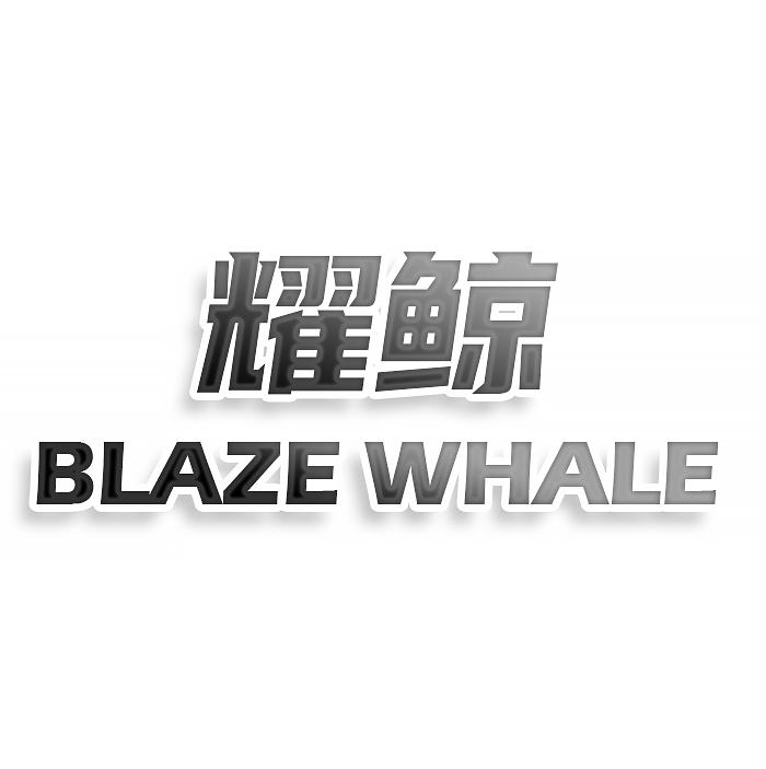 耀鲸 BLAZE WHALE