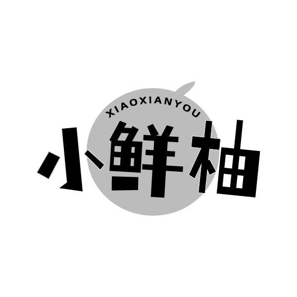 小鲜柚XIAOXIANYOU