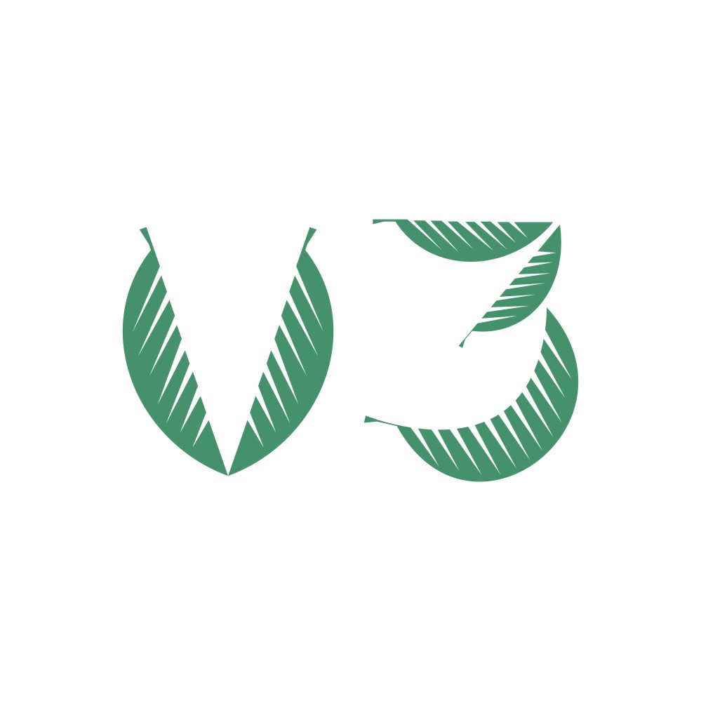 v3