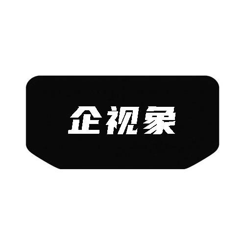 企视象
