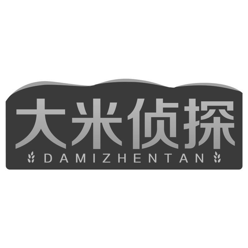 大米侦探DAMIZHENTAN