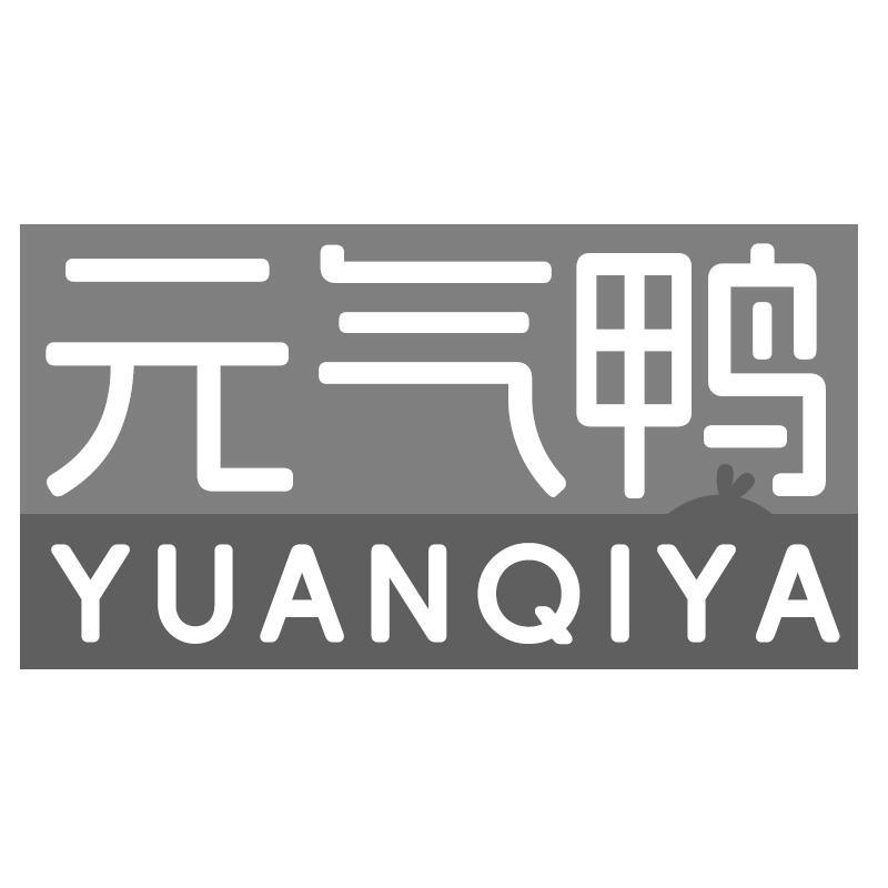 元气鸭