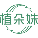 植朵姝