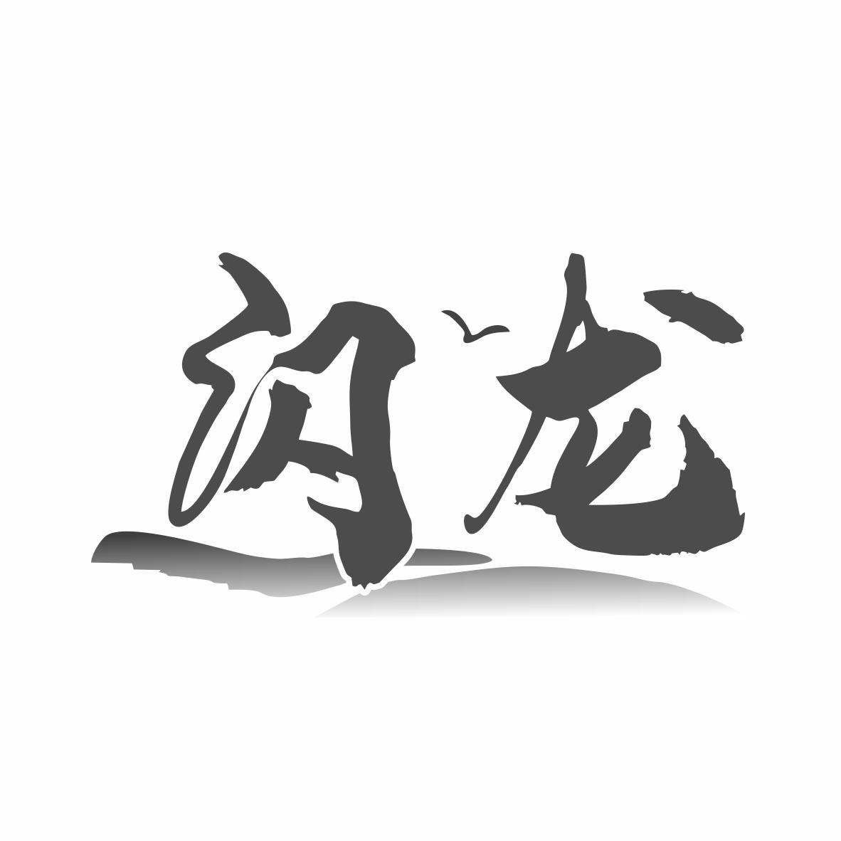 闪龙