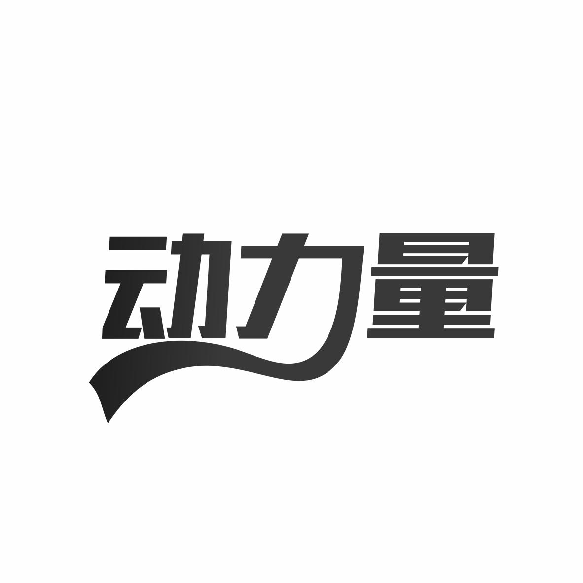 动力量