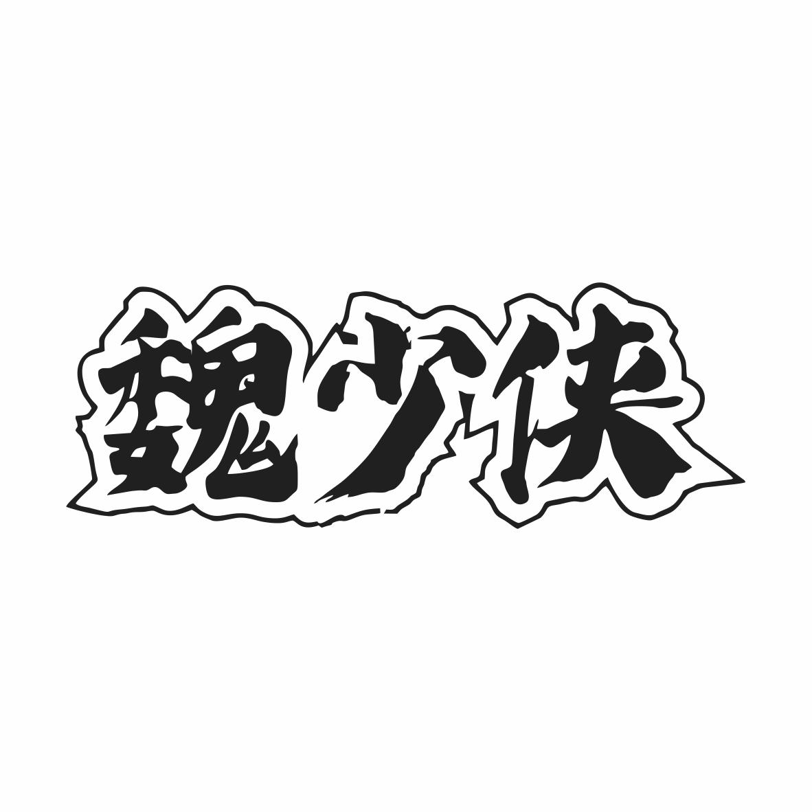 魏少侠
