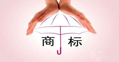 北京字跳网络技术有限公司申请注册“访客大师”